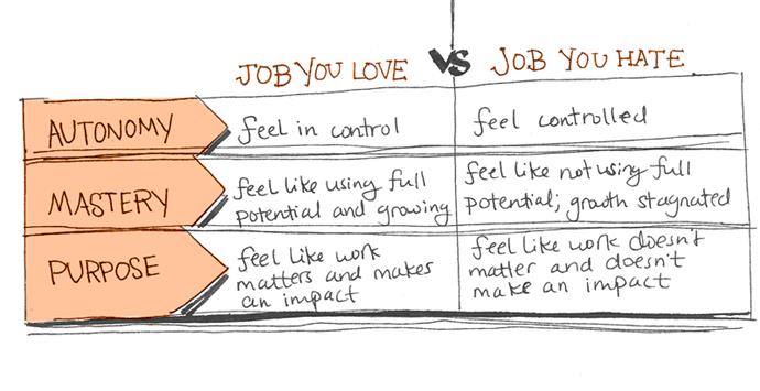 autonomy-mastery-purpose